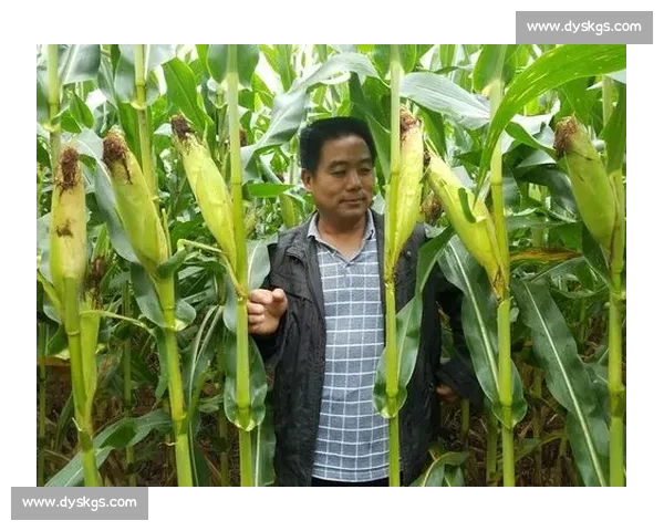 高清稳定流畅的足球直播APP下载安装到手机即看全球赛事精彩 - 副本 - 副本 (12) - 副本 - 副本 - 副本 高清稳定流畅的足球直播APP下载安装到手机即看全球赛事精彩 - 副本 - 副本 (12) - 副本 - 副本 - 副本